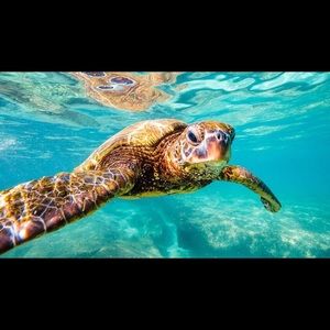 Meet your Posher, Bungalow B